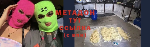 прущие грибы Лабытнанги