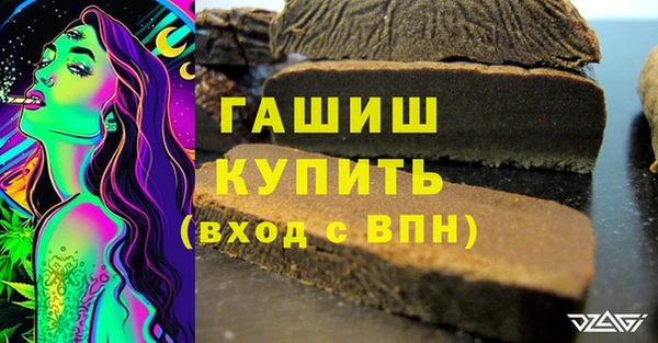 прущие грибы Лабытнанги