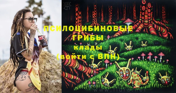 прущие грибы Лабытнанги