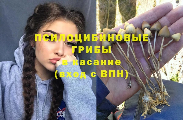прущая мука Ладушкин