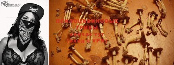 прущая мука Ладушкин