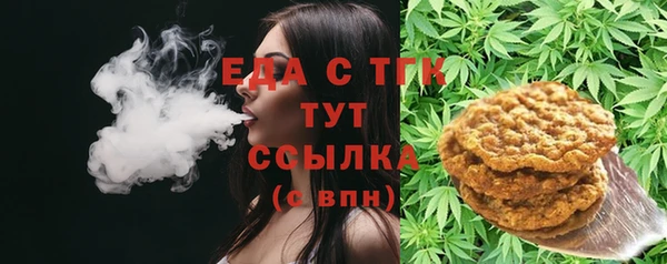 прущие грибы Лабытнанги