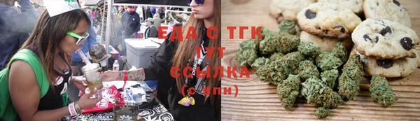 прущие грибы Лабытнанги