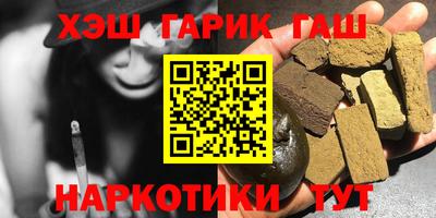 индика Камышлов