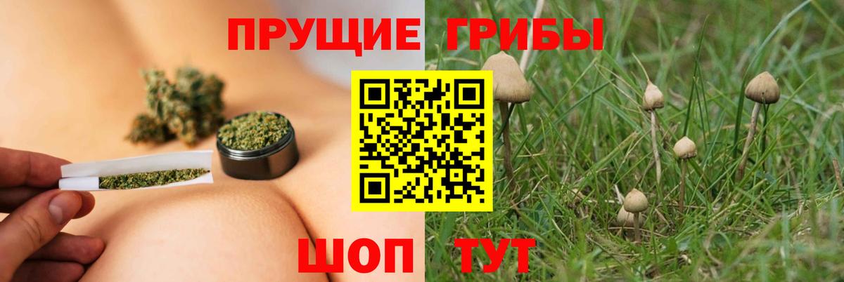 Домодедово  Псилоцибиновые грибы мухоморы  Вход с VPN 