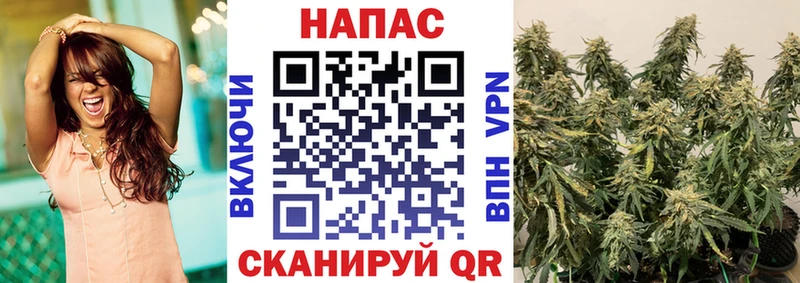 где найти наркотики Домодедово Каннабис Ganja